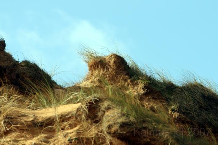 Morsum Kliff 22.jpg - Am Morsum Kliff